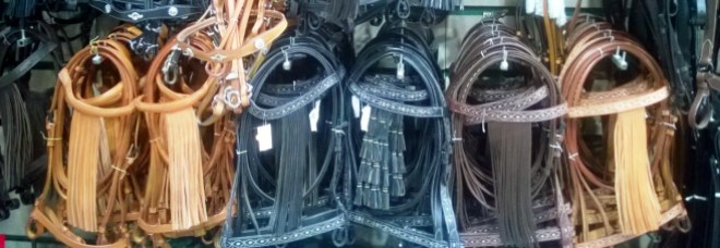 Typical Spanish doma bridles.  I've bought one for my mare.