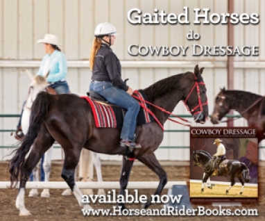 Gaited Horses can do Cowboy Dressage