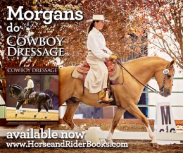 Morgans are ideal for Cowboy Dressage!