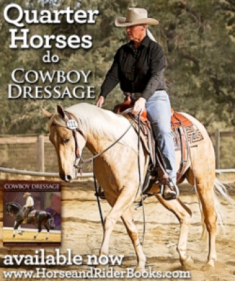 Quarter Horses do Cowboy Dressage really well.